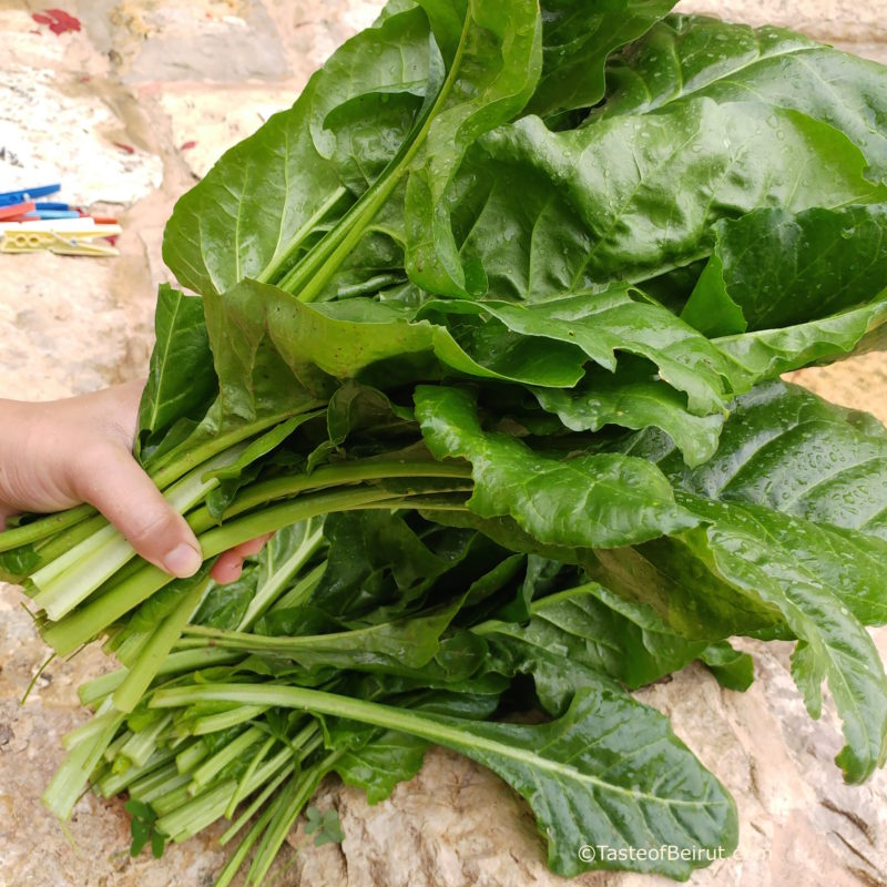 Lentil and Swiss Chard soup - Taste of Beirut